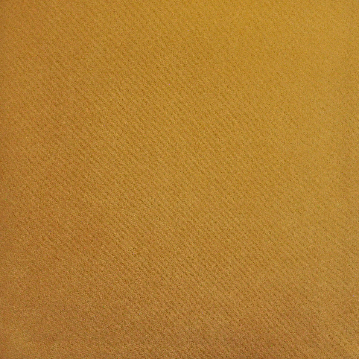 MAXWELL FABRICS INDOOR,OUTDOOR # 423 BUTTER - PAD423