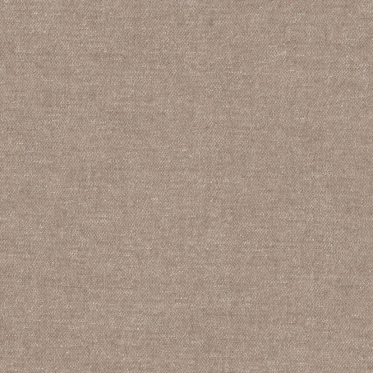 MAXWELL FABRICS CHENILLES SOLIDS,TEXTURES # 822 DUNE - AT9822