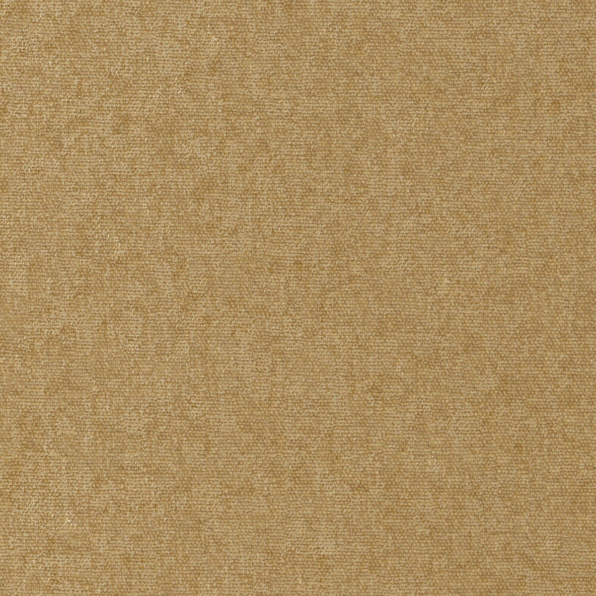 MAXWELL FABRICS CHENILLES SOLIDS,TEXTURES # 952 ANTELOPE - CHE952