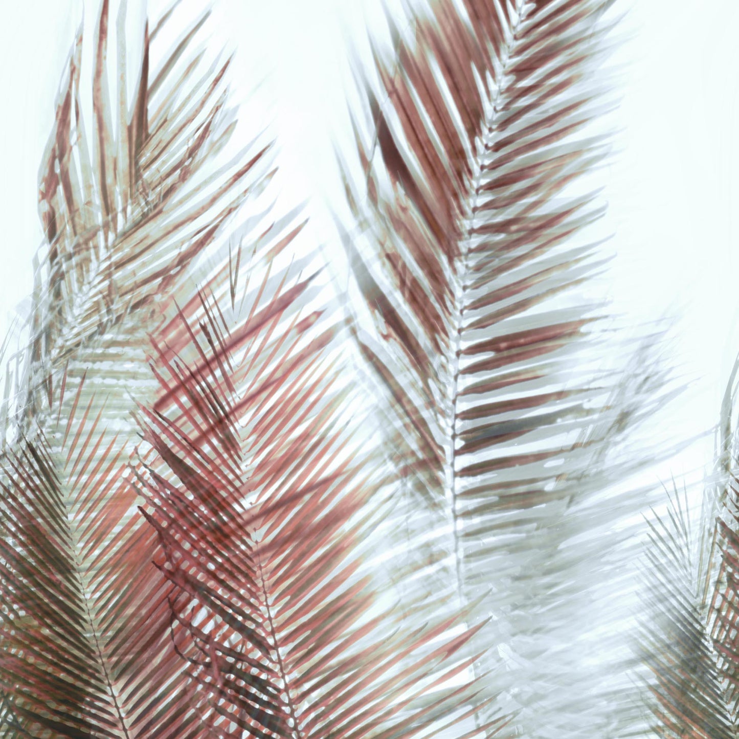 JF Fabrics -Wallpaper 10010 44 Wallpaper Pink Vinyl,Mural,Width Extendable - 8280344 W8771