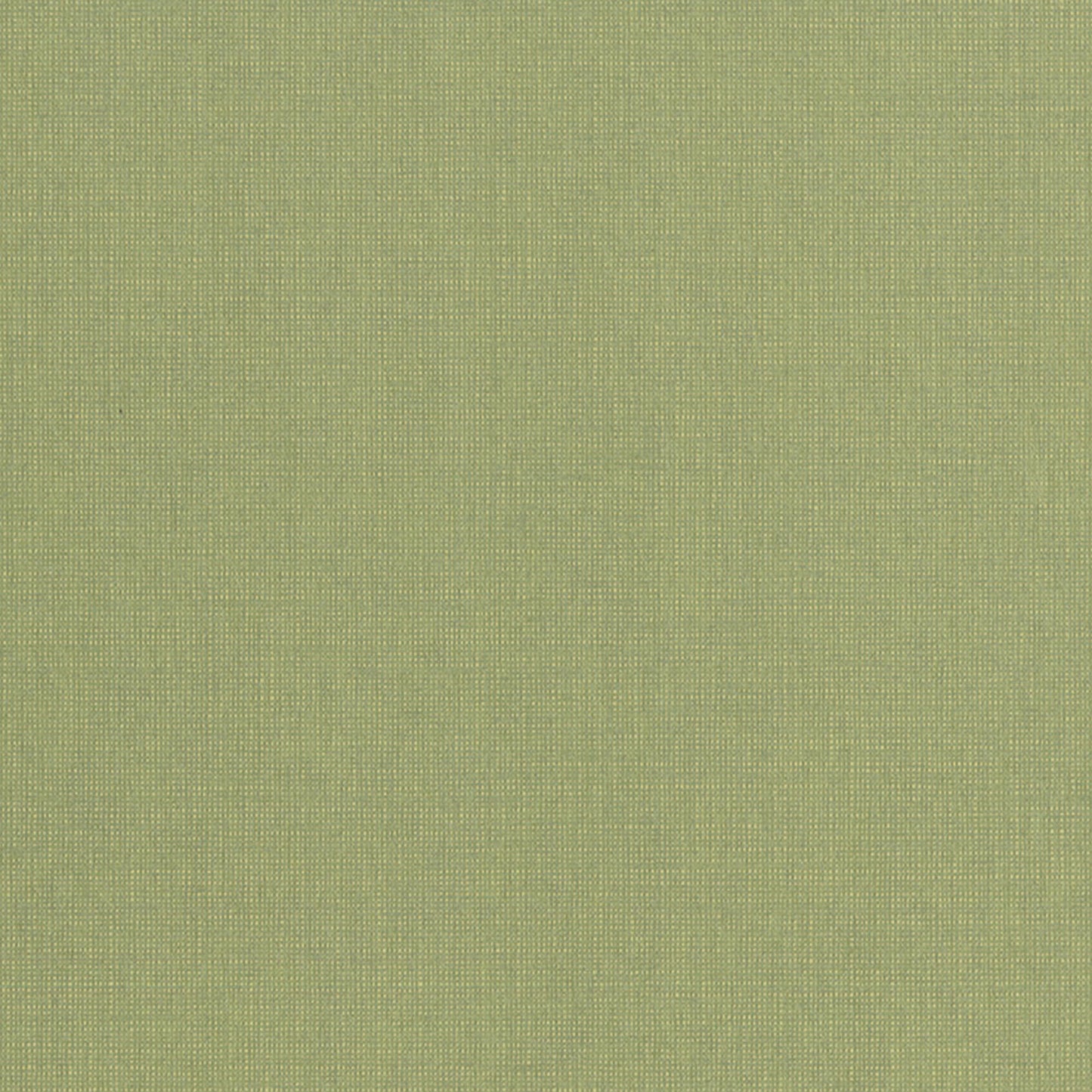 JF Fabrics -Wallpaper 10161 1 Wallpaper Green Non-Woven - 8276901 W8731