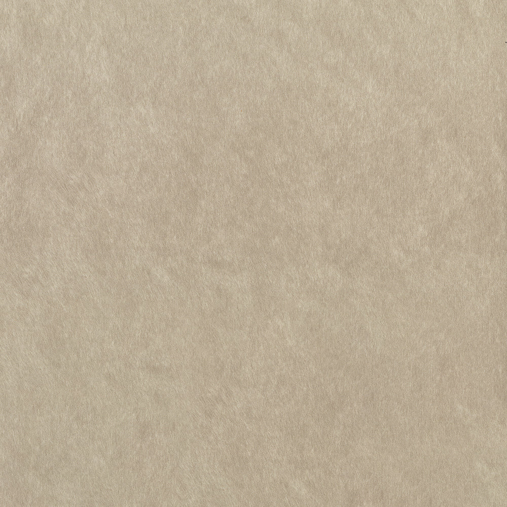 NICHOLASJOHN INC NJ-RIDE Stucco Solid Fabric - NJ25-550