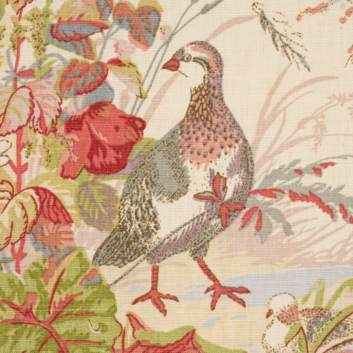 SCHUMACHER A COUNTRY LIFE QUAIL MEADOW PRINTS PRINTS WINTER - 1106021