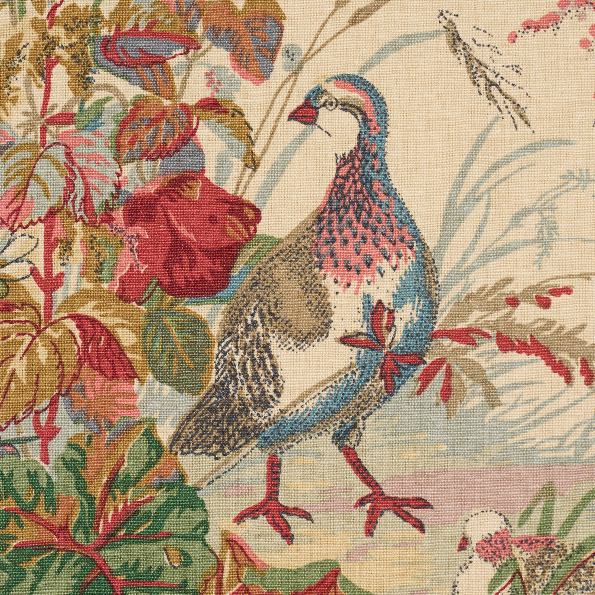 SCHUMACHER A COUNTRY LIFE QUAIL MEADOW PRINTS PRINTS SUMMER - 1106032