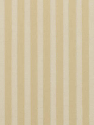 Robert Allen Carlyle | Raffia Multipurpose - 120324