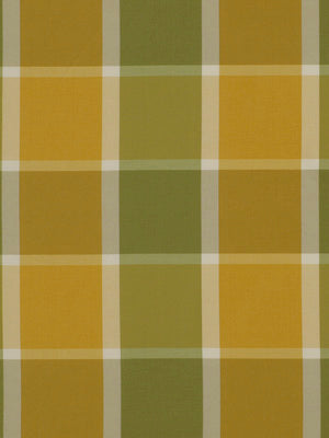 Robert Allen Contract Ocean Plaid | Olive Upholstery - 143018