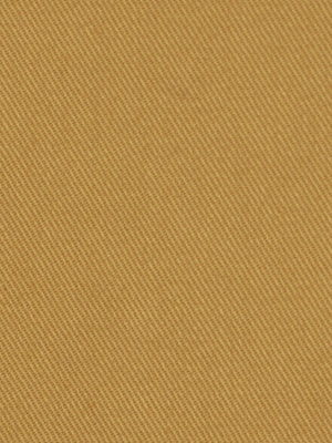 Robert Allen @ Home Success | Biscuit Upholstery - 145004