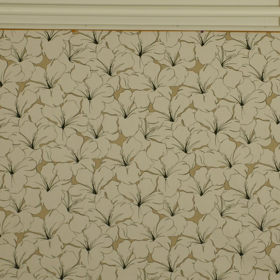 Robert Allen @ Home Sun Coast | Kohl Print - 149847