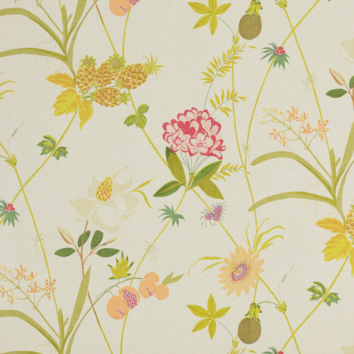 SCHUMACHER RAOUL TEXTILES SECRET GARDEN BY RAOUL PRINTS PRINTS NATURAL - 151N14