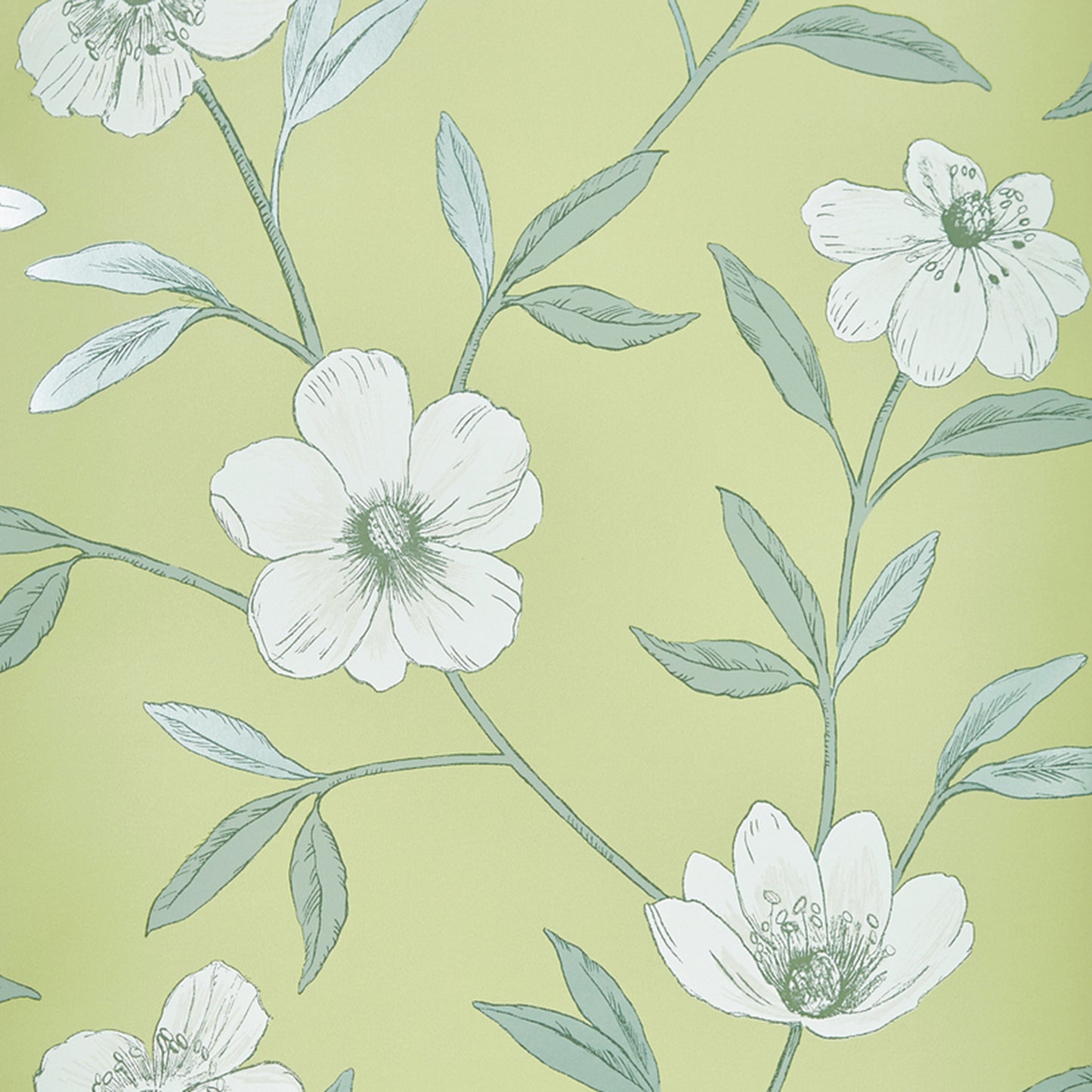 Lime green background with white five-petaled flowers on slender blue-green stems and leaves; botanical wallpaper pattern.
