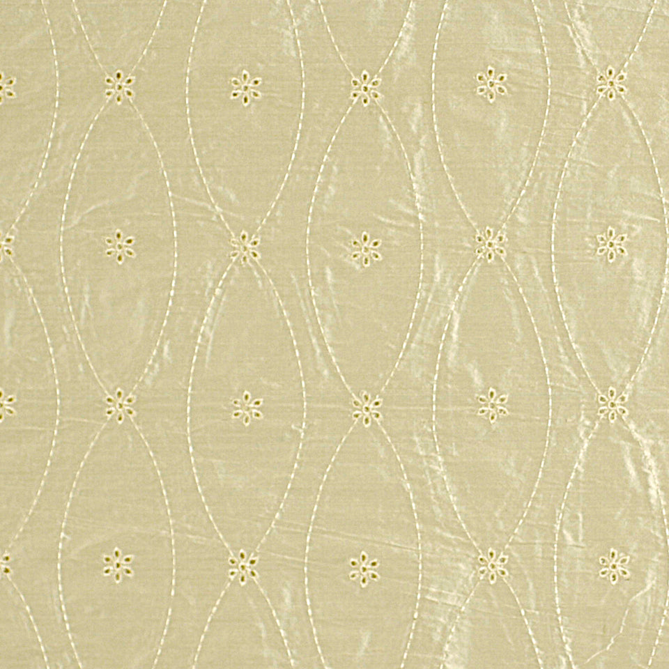 Robert Allen Cirenia | Parchment Multipurpose - 168010