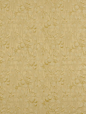 Robert Allen Dorlisa | Parchment Multipurpose - 168040