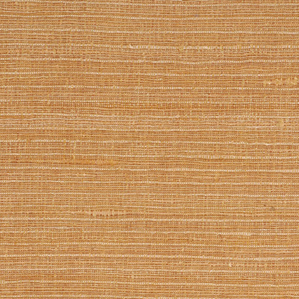 Robert Allen Felicitas | Desert Multipurpose - 168204