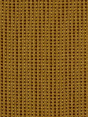 Robert Allen Balbriggan | Cashew Upholstery - 173801