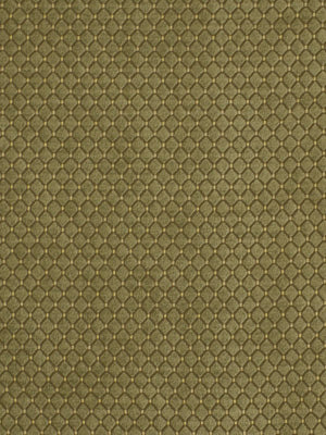 Robert Allen Letterkenny | Pistachio Upholstery - 173834