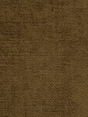 Robert Allen Dervish | Mushroom Upholstery - 173865