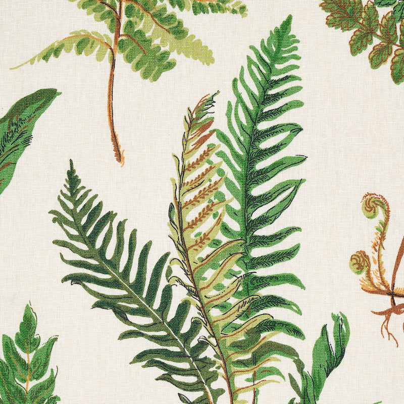 SCHUMACHER SCHUMACHER CLASSICS LES FOUGERES PRINTS PRINTS DOCUMENT - 174090