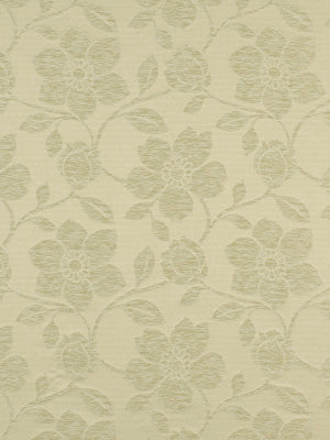 Robert Allen Chubut | Sand Dollar Drapery - 174123