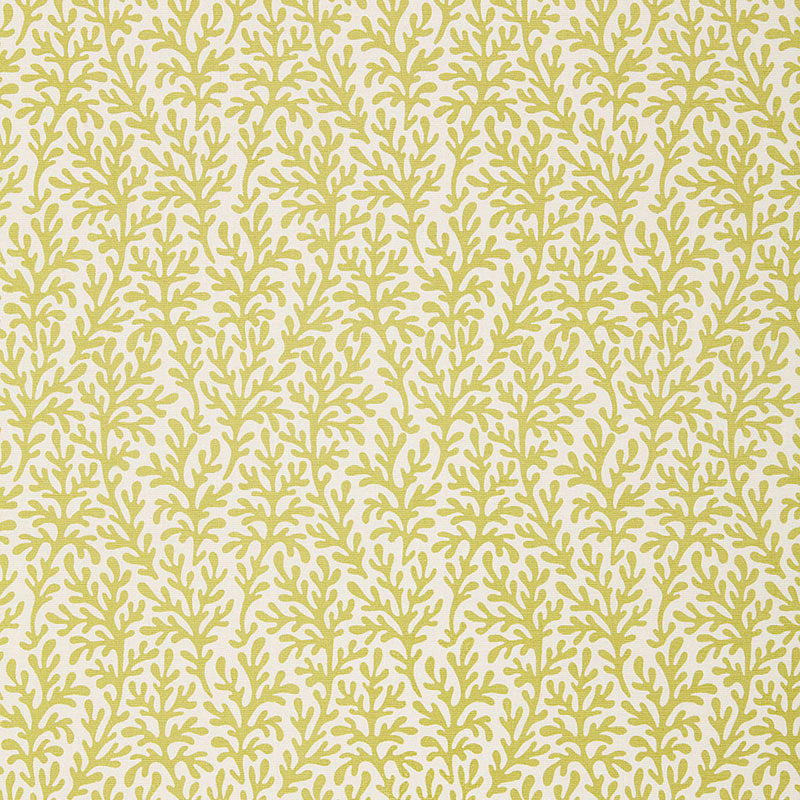 SCHUMACHER TESSERA SEA CORAL PRINTS PRINTS CHARTREUSE - 174462