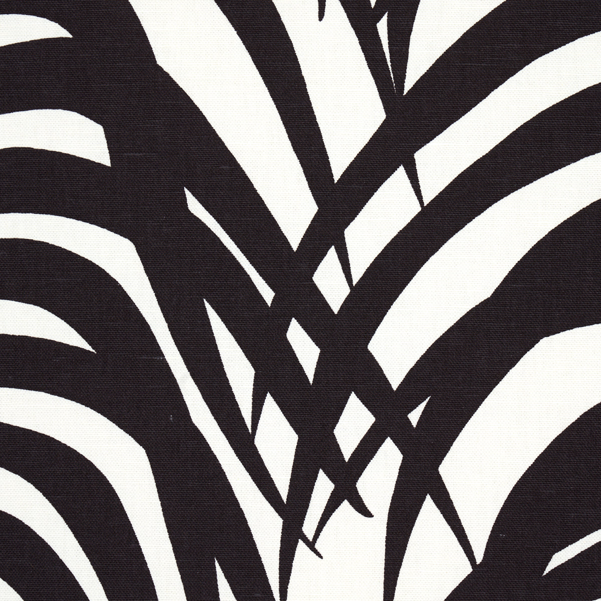 Bold black and white zebra palm print fabric pattern with intersecting lines, abstract textile design.