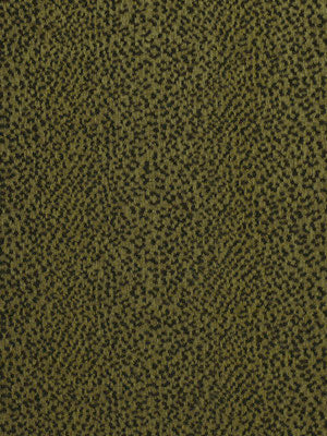 Robert Allen @ Home Big Cat | Hunter Upholstery - 176317