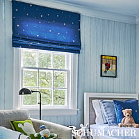 SCHUMACHER CHARLAP HYMAN & HERRERO CALISTO Cobalt - 177650