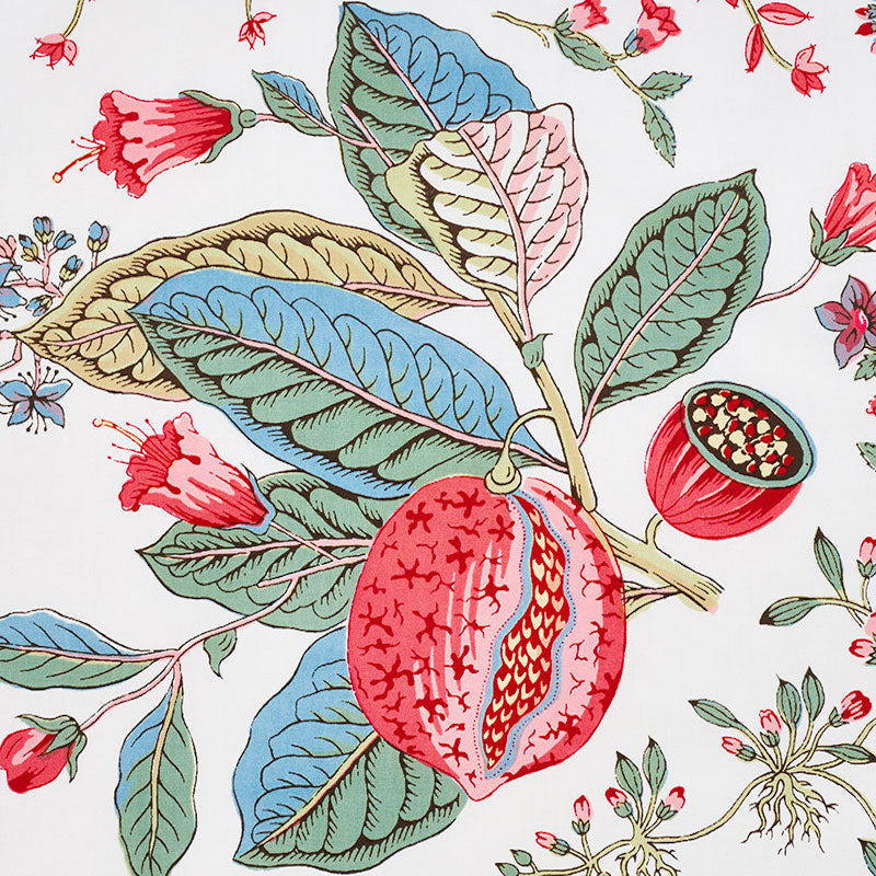 SCHUMACHER SCHUMACHER CLASSICS POMEGRANATE BOTANICAL PRINTS PRINTS DOCUMENT - 178121