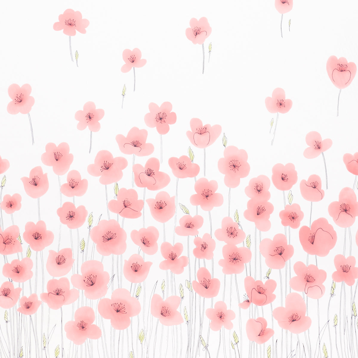 SCHUMACHER VERA NEUMANN WILD POPPIES PANEL PRINTS PRINTS PINK - 178391