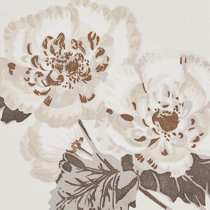Neutral floral pattern with oversized beige-brown peony blooms on cream background.
