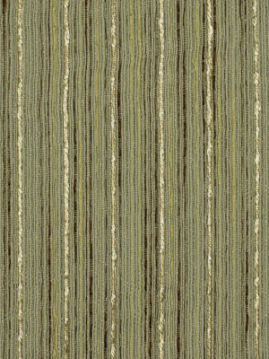 Robert Allen Los Canarios | Kiwi Drapery - 178577