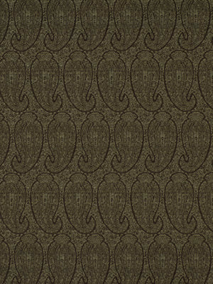 Robert Allen Contract Eco Paisley | Nightshade Upholstery - 179145