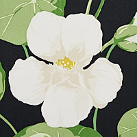 SCHUMACHER SIGNATURE SCHUMACHER NASTURTIUM Noir - 179490