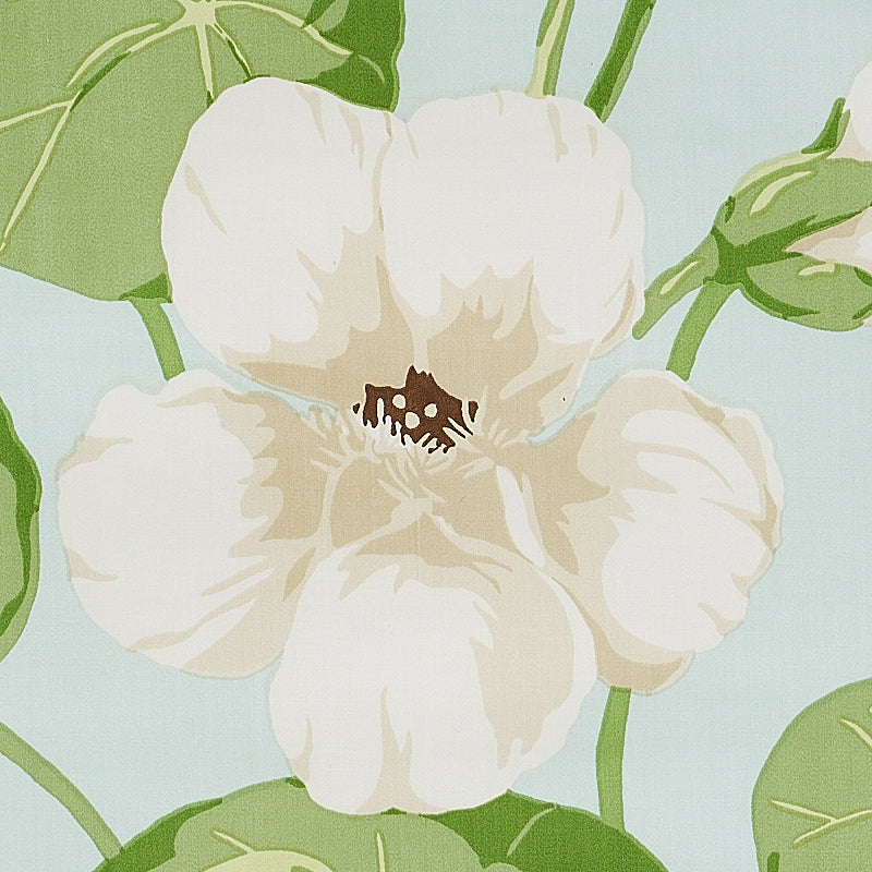SCHUMACHER SIGNATURE SCHUMACHER NASTURTIUM PRINTS PRINTS SKY - 179491