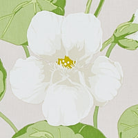 SCHUMACHER SIGNATURE SCHUMACHER NASTURTIUM Stone - 179492