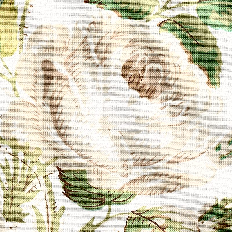 SCHUMACHER SCHUMACHER CLASSICS LOUDON ROSE PRINTS PRINTS IVORY - 179630