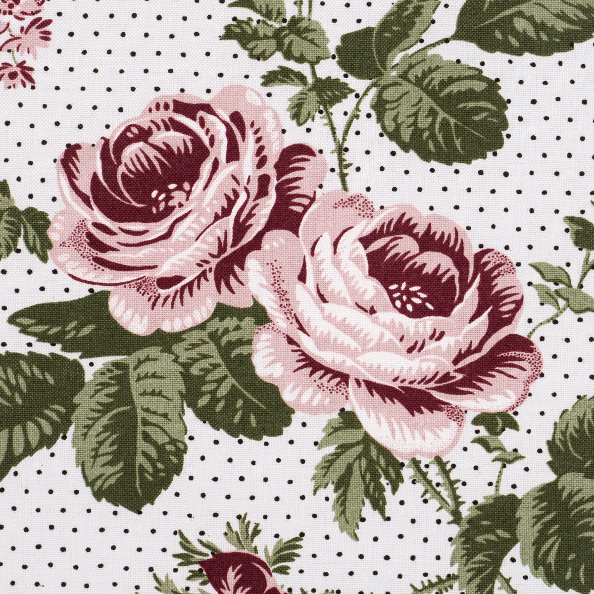 Pink roses with green leaves against a background of small black polka dots; vintage floral fabric pattern.