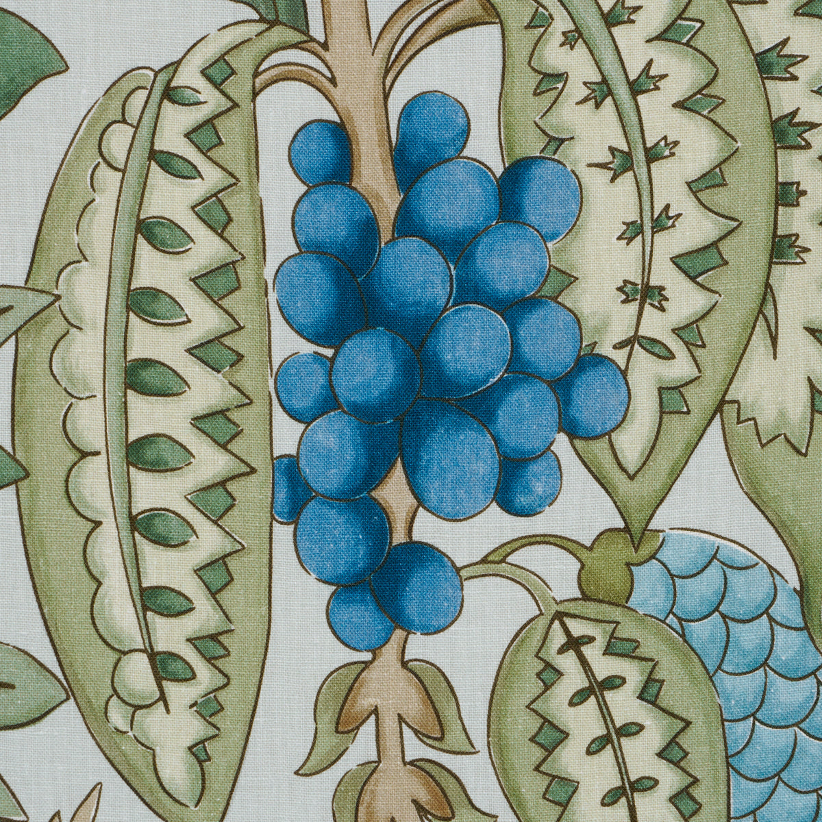 Decorative fabric pattern with a blue grape cluster, brown stem, and curling green leaves.