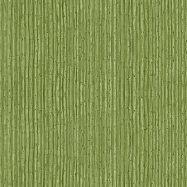 Galerie Wallcoverings Into The Wild Bamboo Galerie Wallcoverings Green - 18575