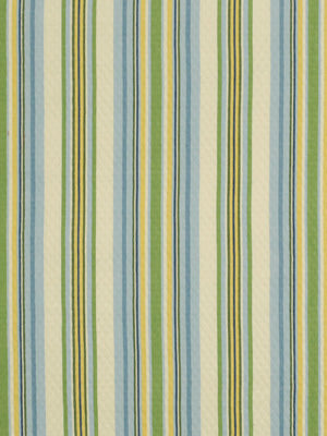 Robert Allen Carowinds | Hydrangea Multipurpose - 185784