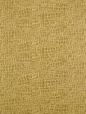 Beacon Hill Taipan | Bronze Multipurpose - 188334