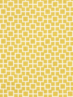 Robert Allen @ Home Cats Cradle | Sunshine Drapery - 190967