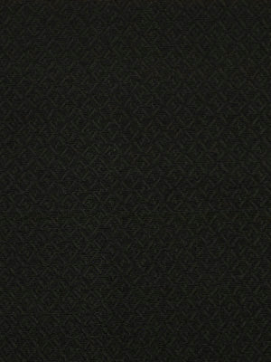 Robert Allen Mar A Lago | Noir Upholstery - 191054