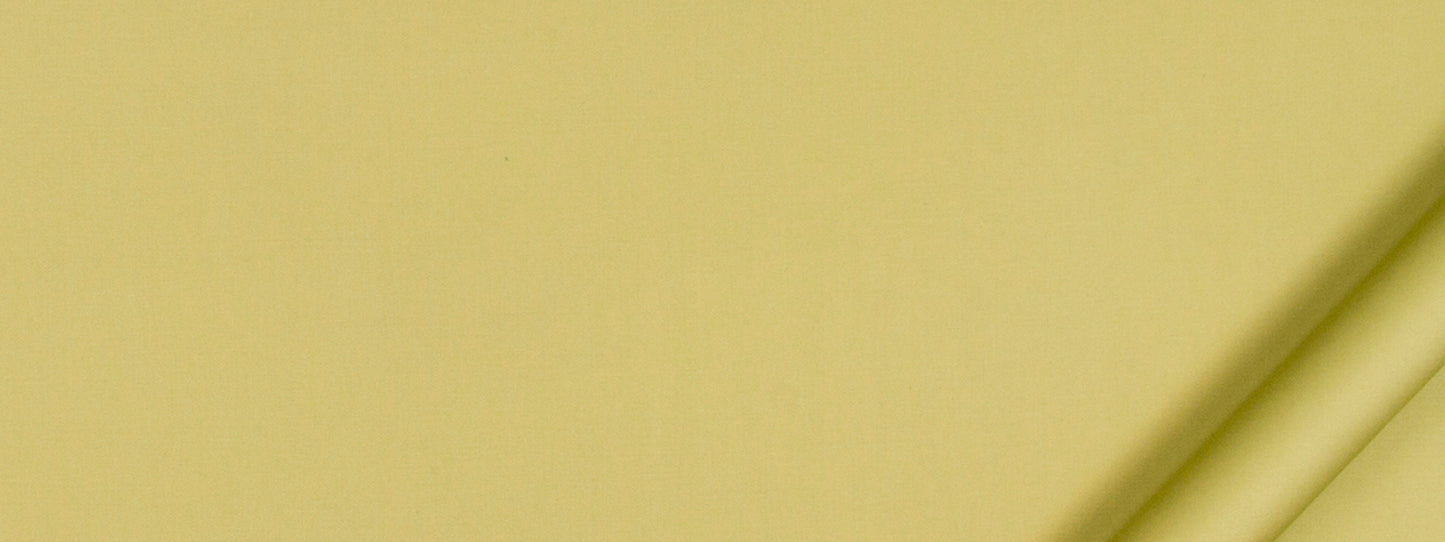 Robert Allen Lustre Sheen | Celery Multipurpose - 193529