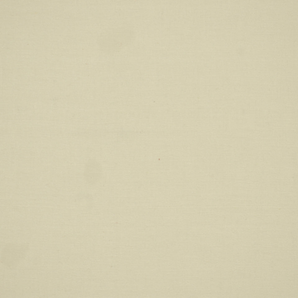 Robert Allen Zahara | White Upholstery - 193613