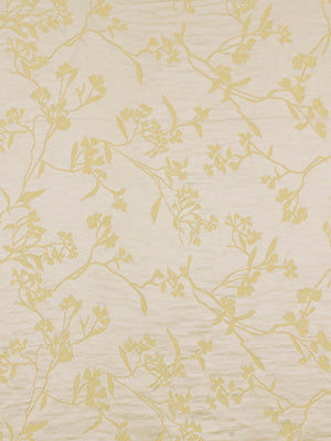 Beacon Hill Thale Cress | Yellow Lotus Multipurpose - 194413