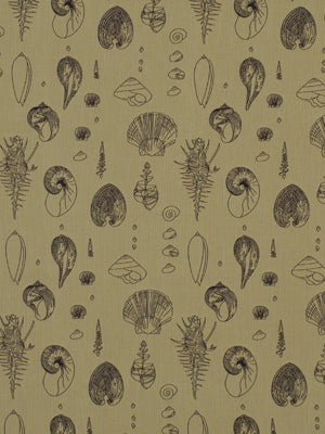 Robert Allen Sea Urchins | Sea Upholstery - 194530