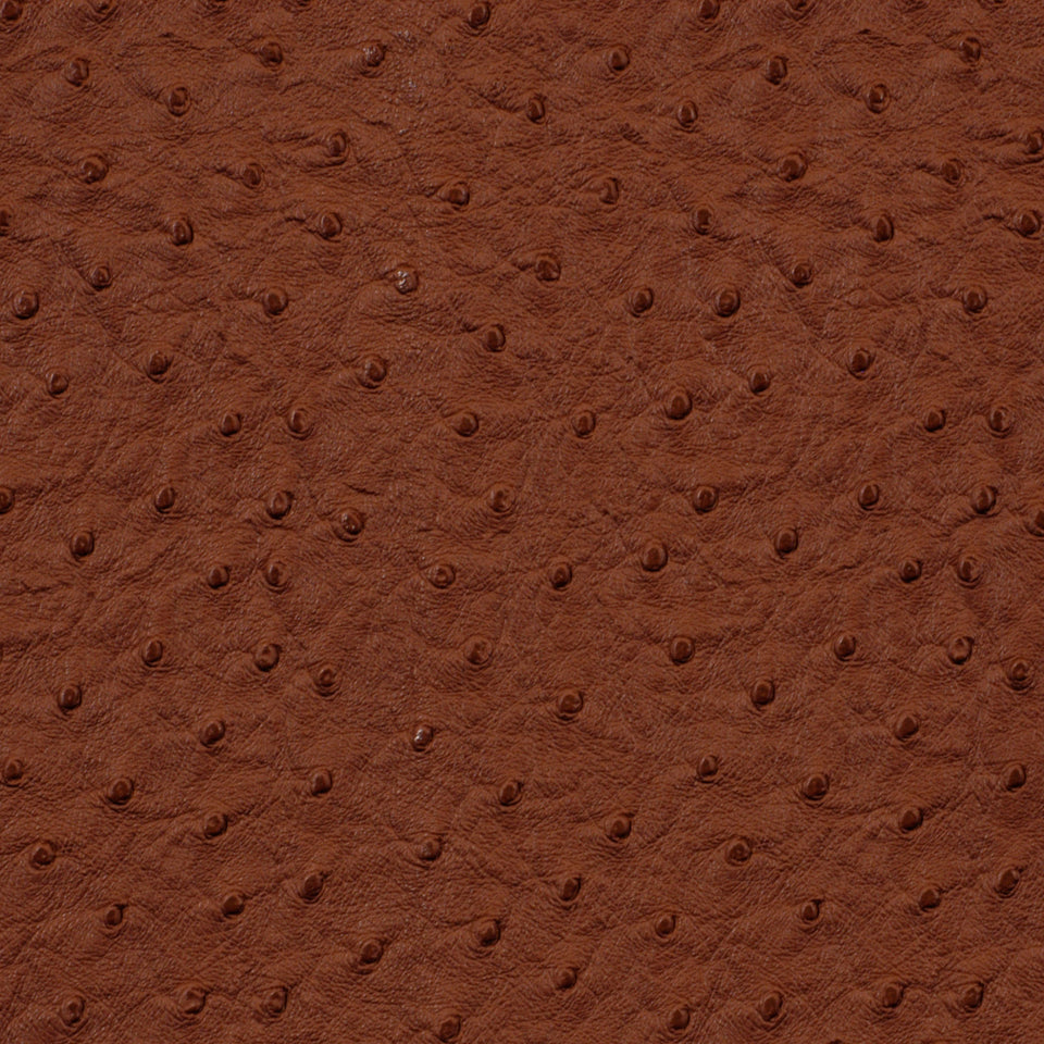 Robert Allen Harvest Moon | Terracotta Upholstery - 195429