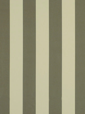 Robert Allen Wide Ways | Truffle Multipurpose - 196222