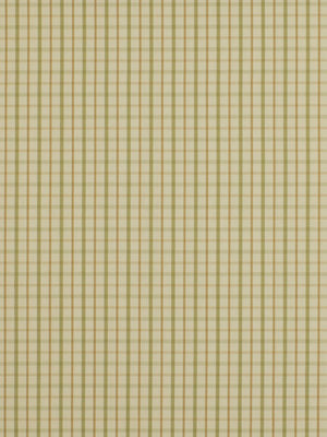 Robert Allen Party Plaid | Celadon Multipurpose - 196339