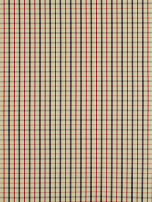 Robert Allen Party Plaid | Nordic Multipurpose - 196341